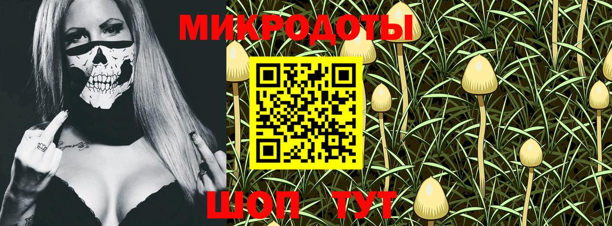 Галлюциногенные грибы Psilocybe  Вход с VPN  Орск 